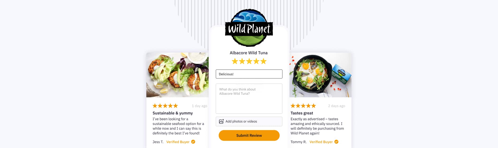 Blog Cover - Wild Planet Blog Post Blog Cover - Wild Planet Blog Post